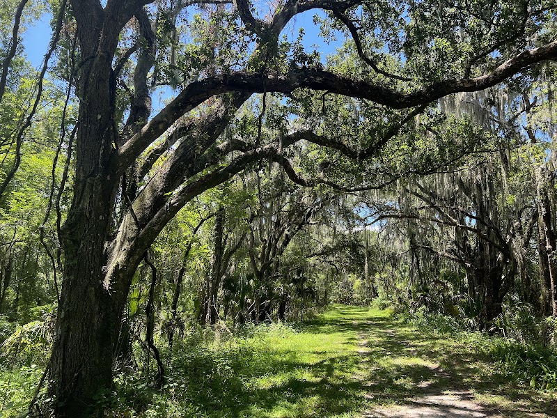 Alafia River Corridor Nature Preserve - North photo 3