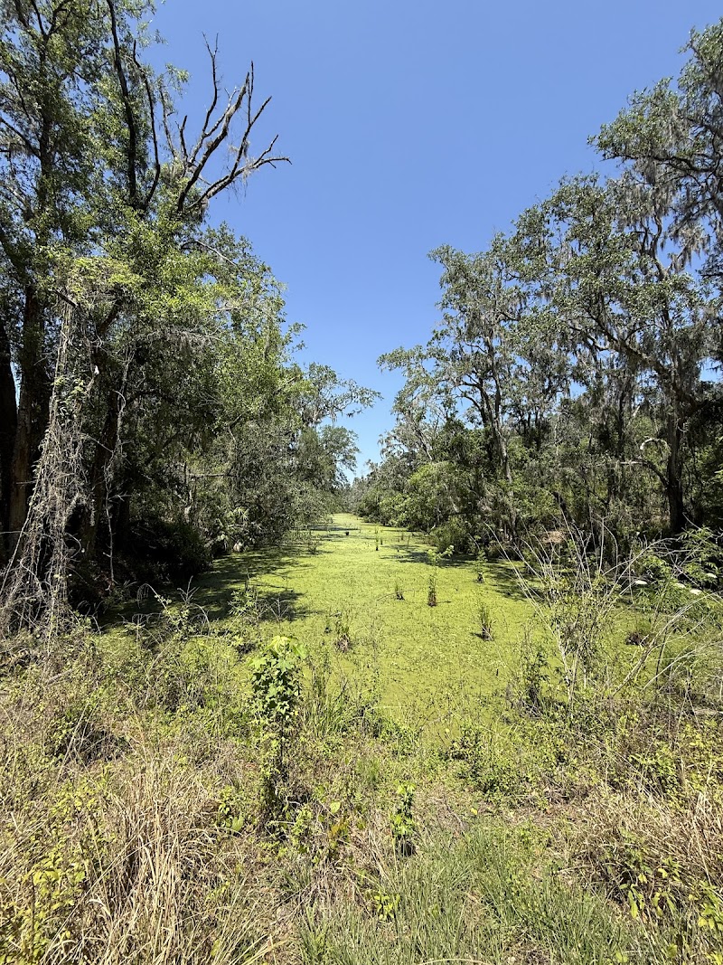 Alafia River Corridor Nature Preserve - North photo 5