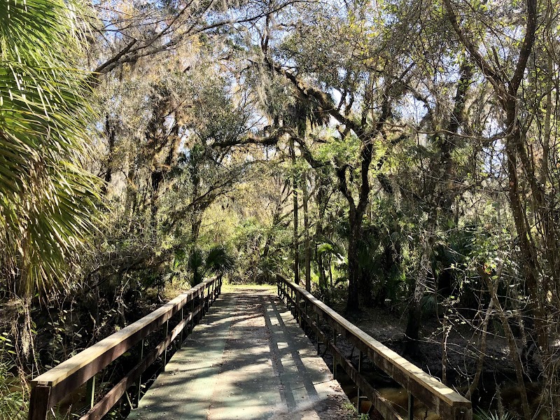 Alafia River Corridor Nature Preserve - North photo 4