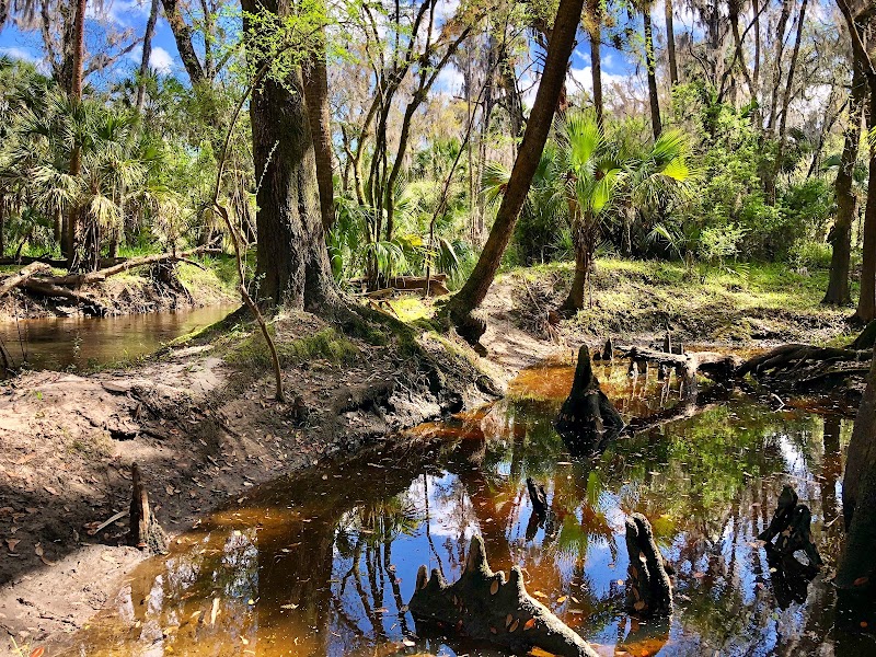Photo of Alafia River Corridor Nature Preserve - North