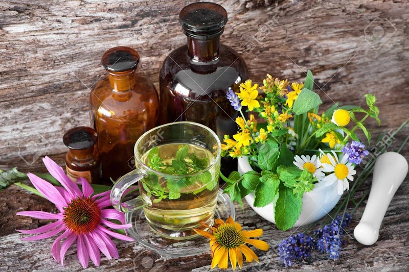 Photo of Pharmacognosy Consulting Services