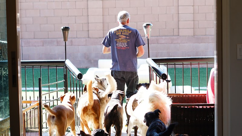 Bill's Mutt House photo 2