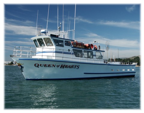 Photo of Queen of Hearts At Half Moon