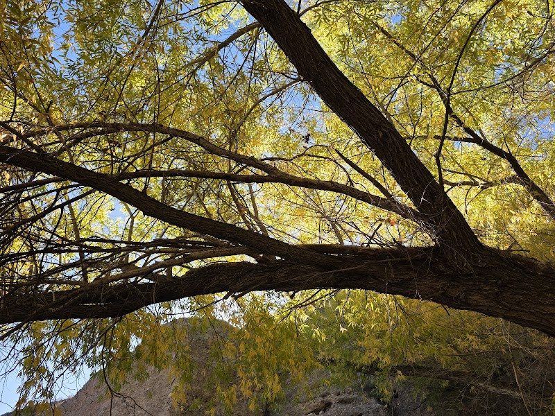 Spring Canyon Picnic Area photo 3