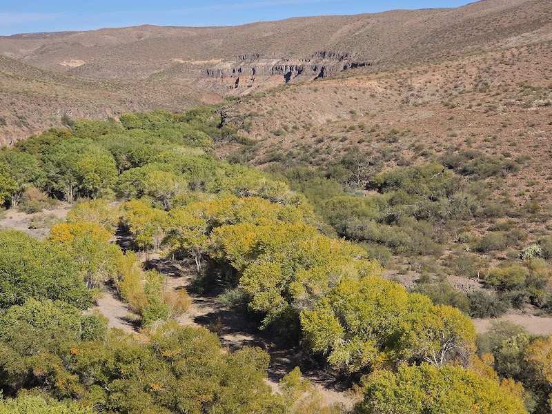 Spring Canyon Picnic Area photo 2