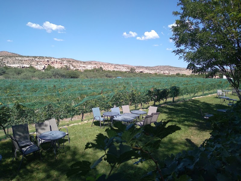 Alcantara Vineyards and Winery photo 5
