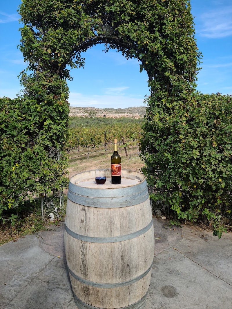 Alcantara Vineyards and Winery photo 3