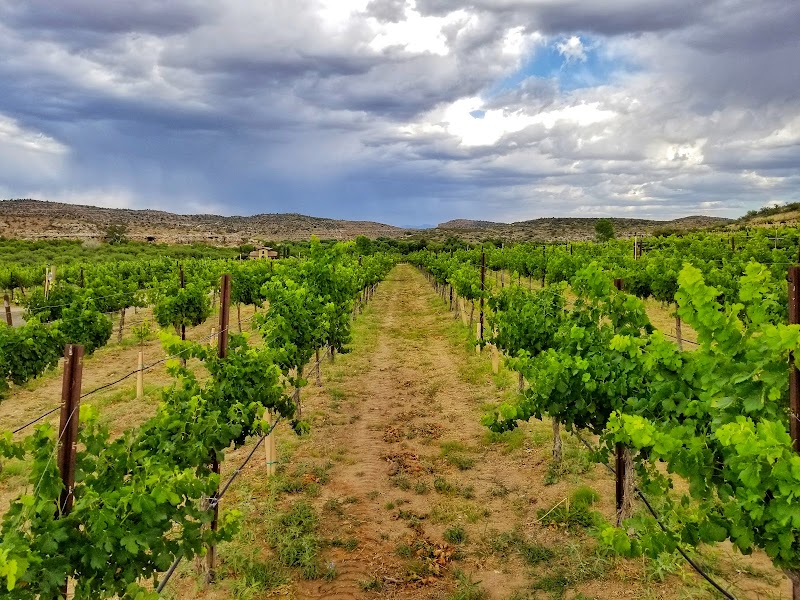 Photo of Alcantara Vineyards and Winery