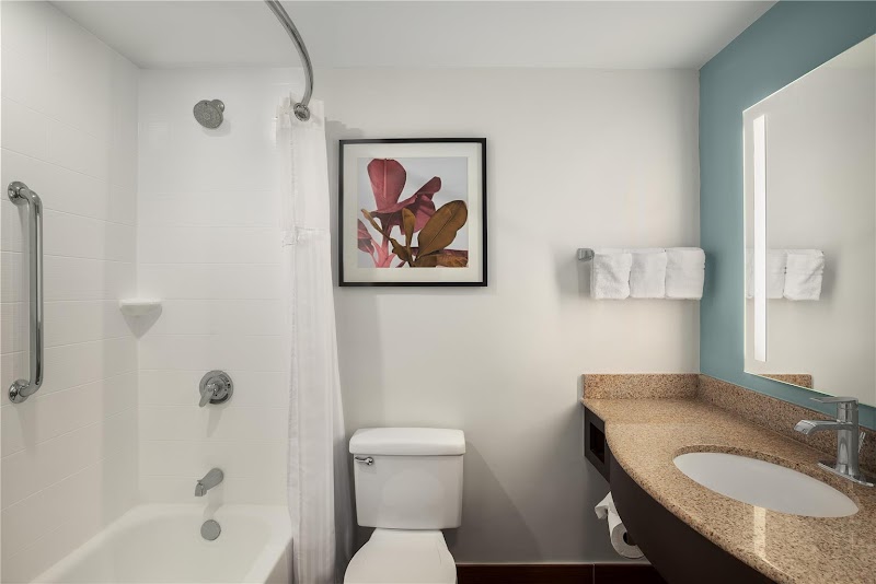 Hilton Garden Inn Tampa North photo 4