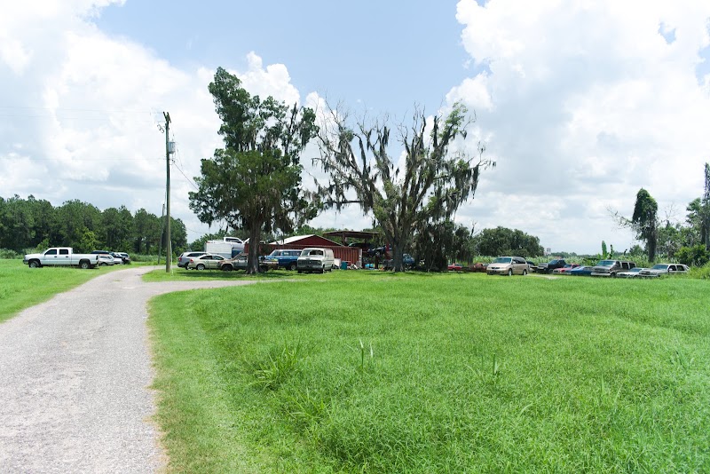 Photo of Viking Automotive