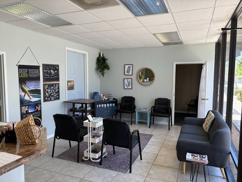 Back N' Balance Dunedin's Family and Injury Chiropractors photo 3