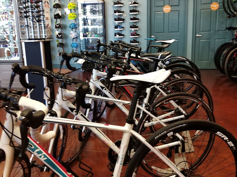The Bike Shop, Windsor photo 4