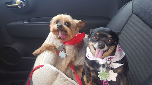 Photo of Gentle Journey Pet Cremation