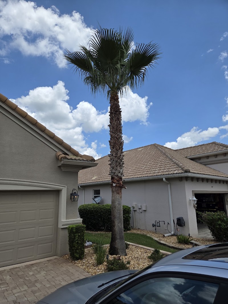 Photo of Tree Care by Robert Miller
