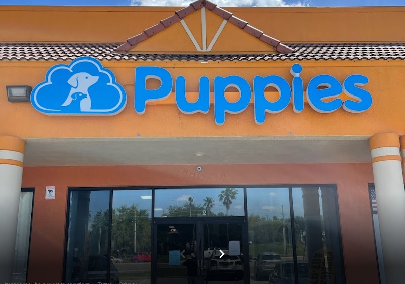 Photo of Blue Sky Puppies Orlando