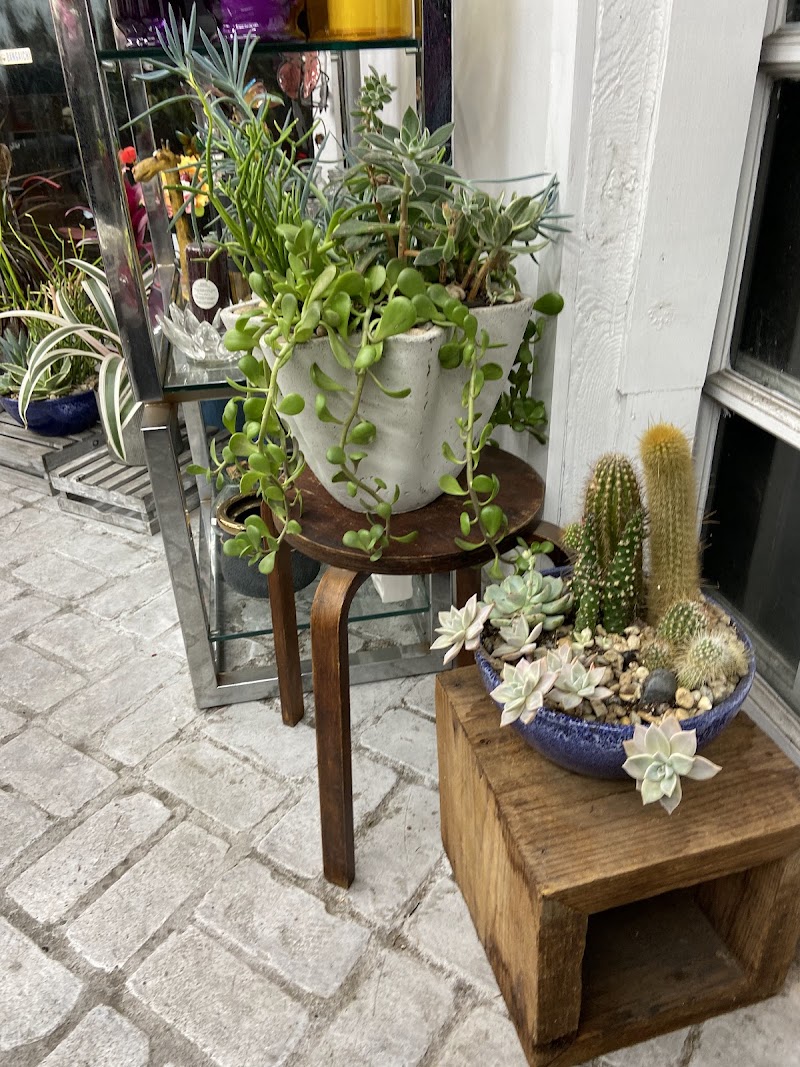 Allen's Flower Market photo 3