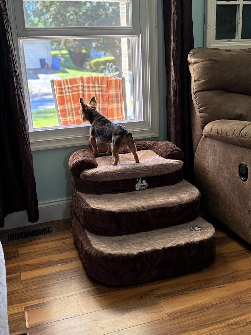 Photo of Steppy Bed
