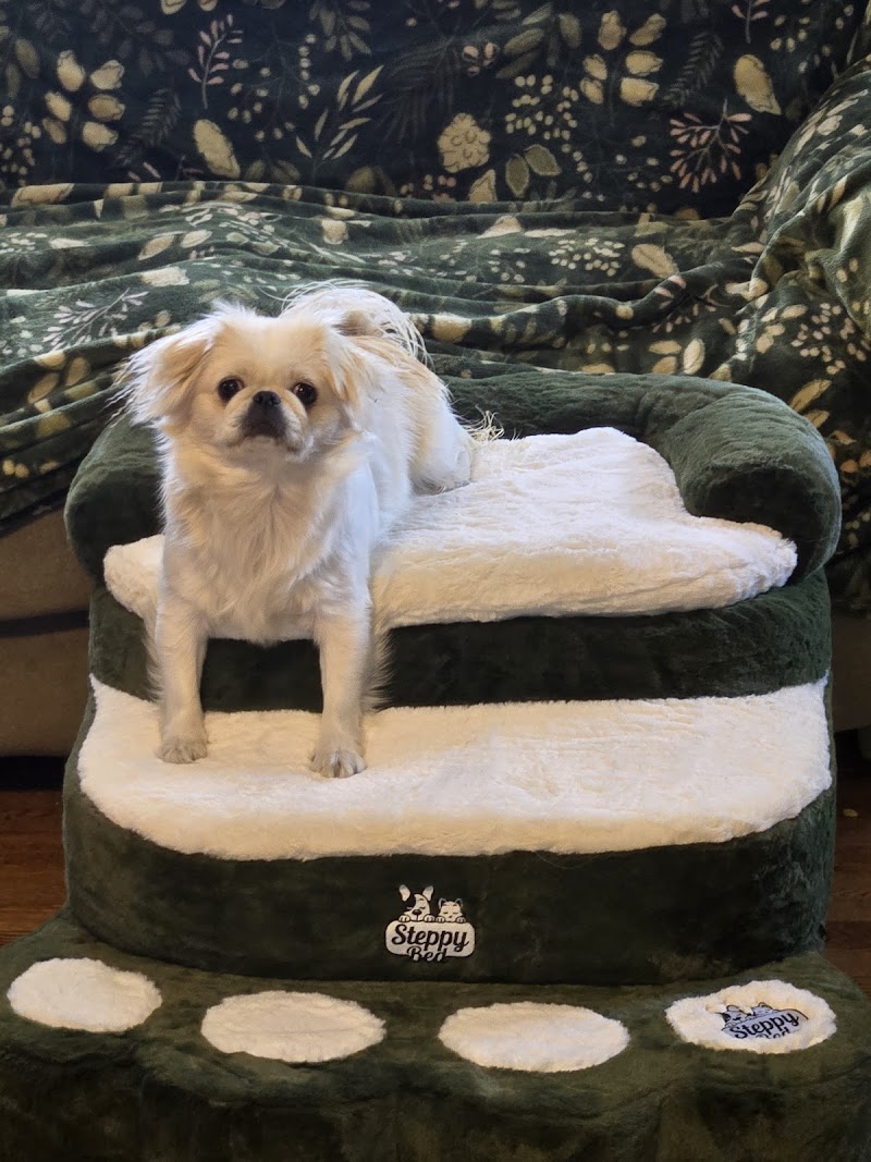 Steppy Bed photo 4