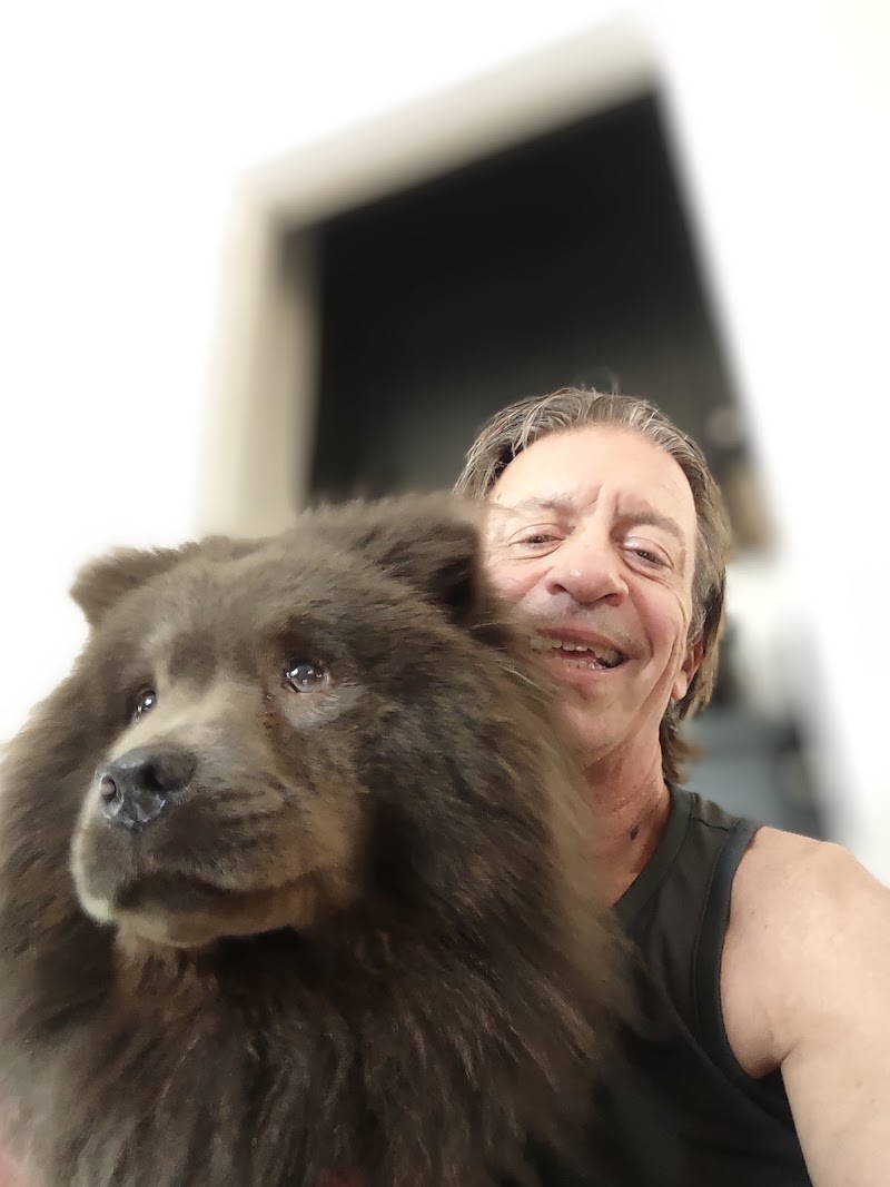 Dogs Allowed Inc. photo 4
