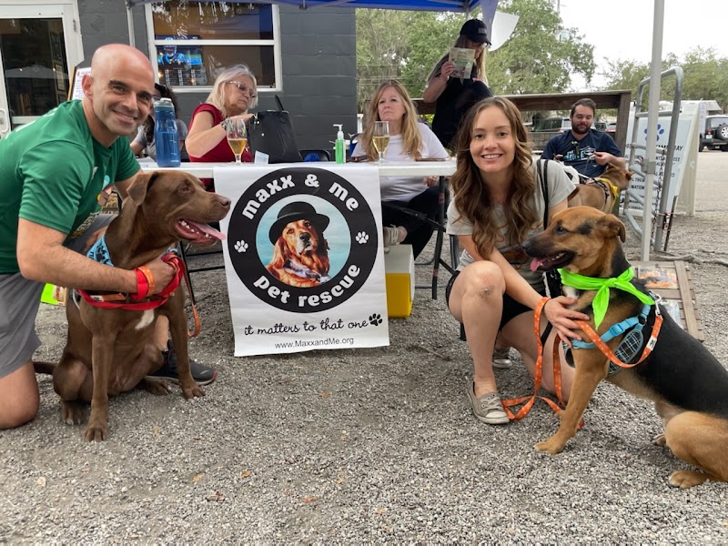 Dogs Allowed Inc. photo 5