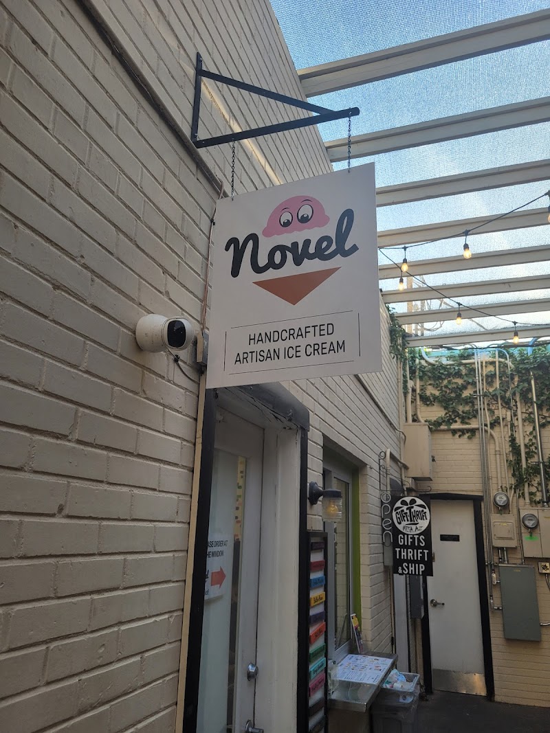 Photo of Novel Ice Cream