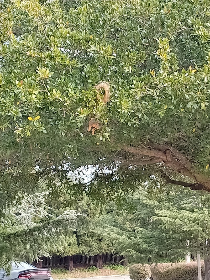 Jack London Park photo 4