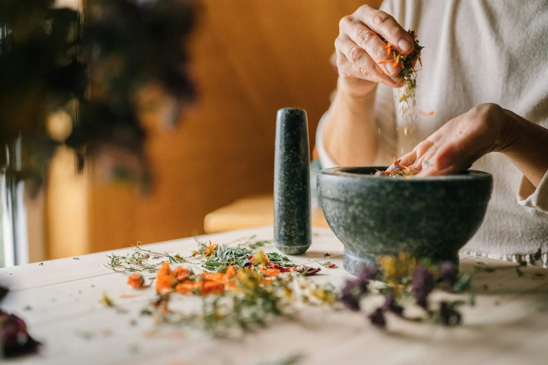 AnthroSonoma Integrative Medicine, Inc photo 2