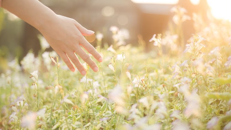 Photo of AnthroSonoma Integrative Medicine, Inc