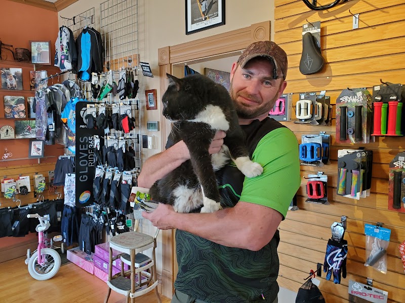 High Gear Bike Shop photo 3