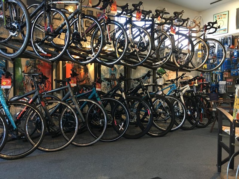 High Gear Bike Shop photo 2