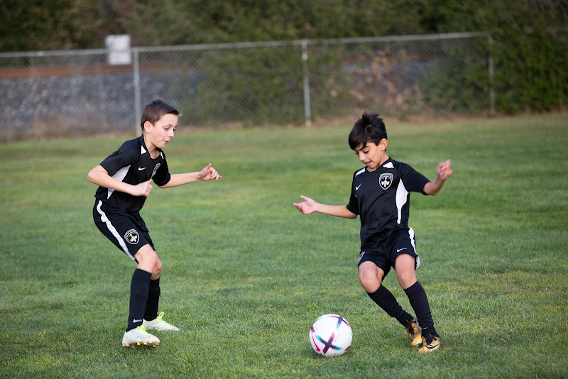 Photo of Sentinels Soccer Club