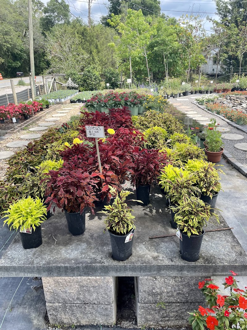 Photo of Lake Jewel Farms