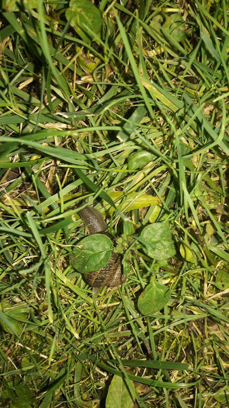 Photo of Oaks of Hebron