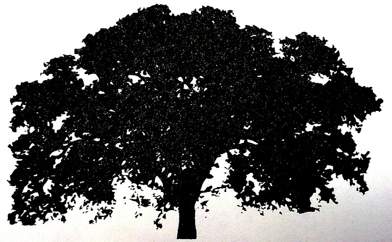 Oaks of Hebron photo 4