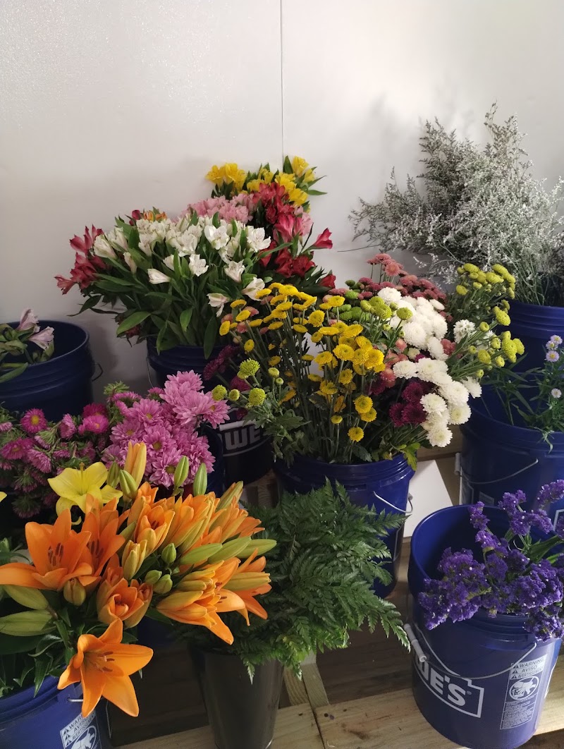 Our Flower Shop photo 2