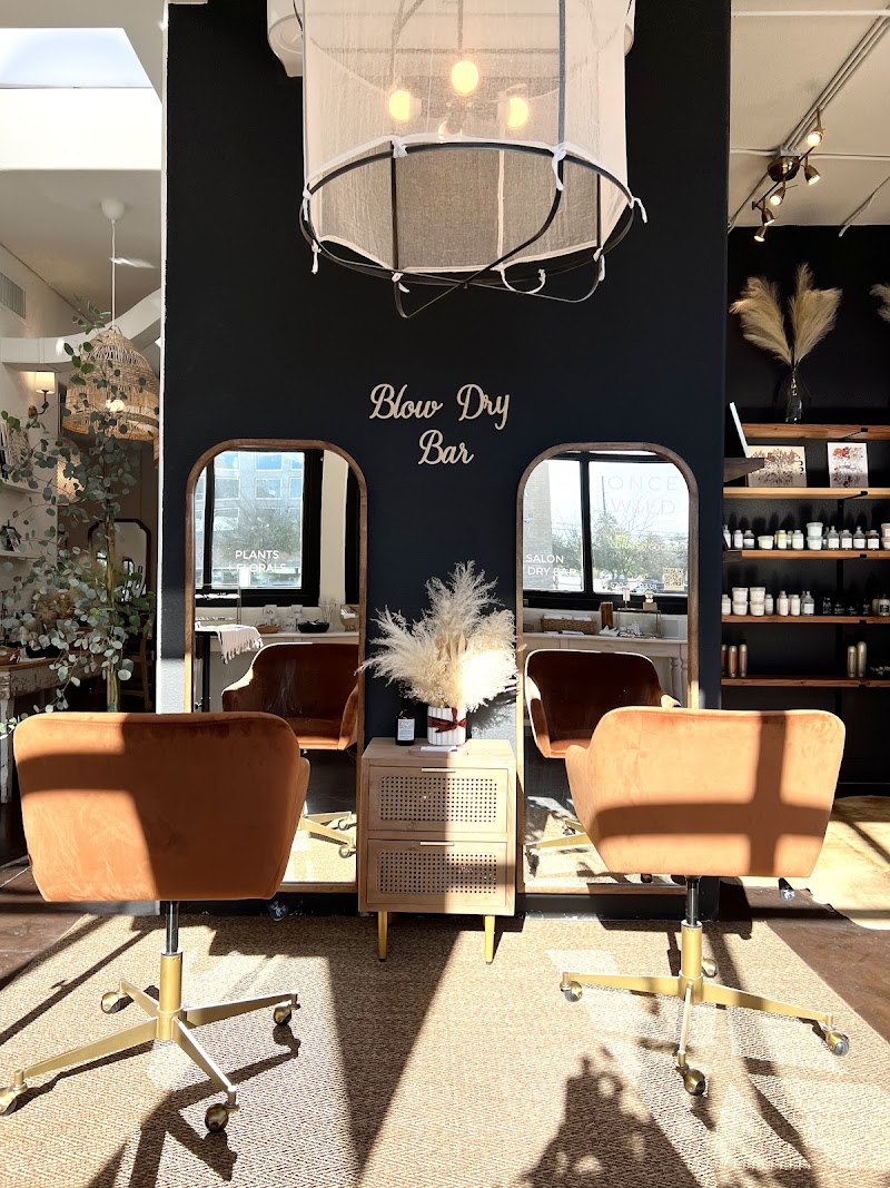Once Wild Salon Craft Stylists & Curated Goods photo 2