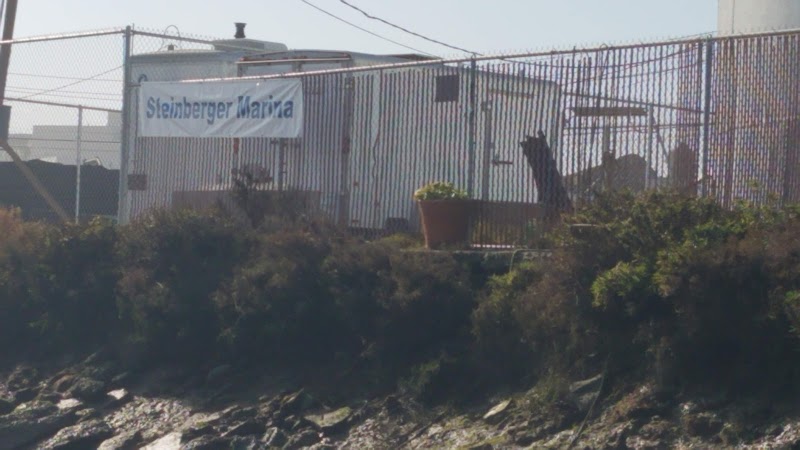 Steinberger Marina photo 3