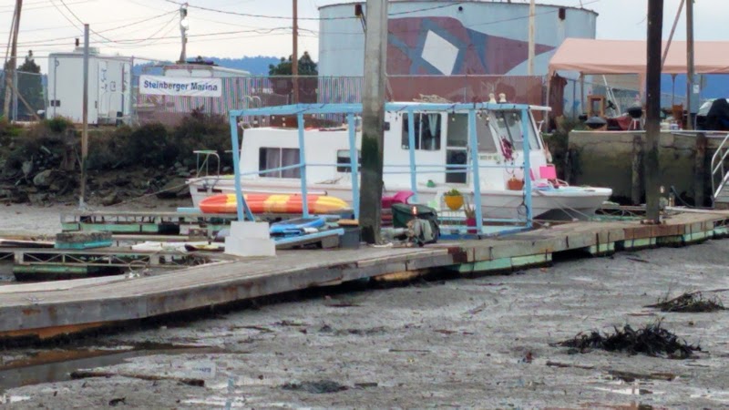 Steinberger Marina photo 2