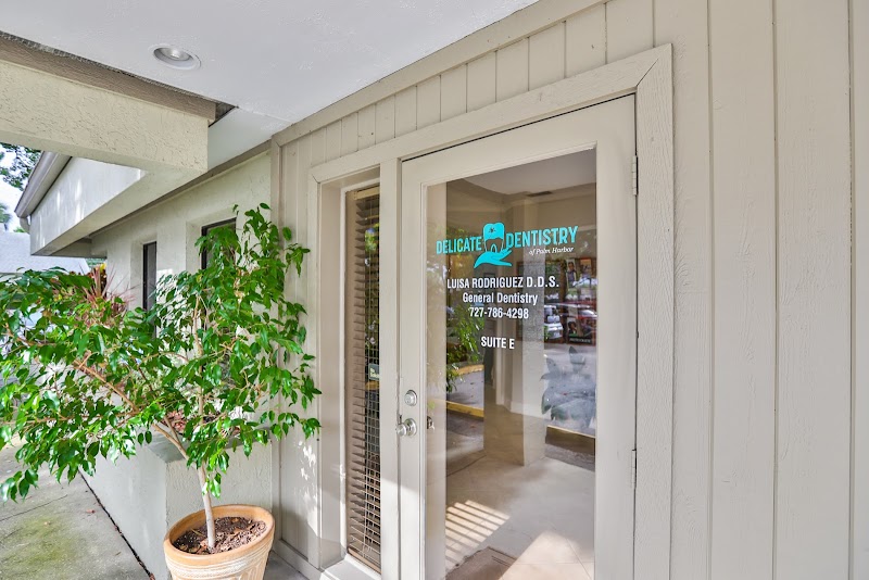 Delicate Dentistry of Palm Harbor photo 4