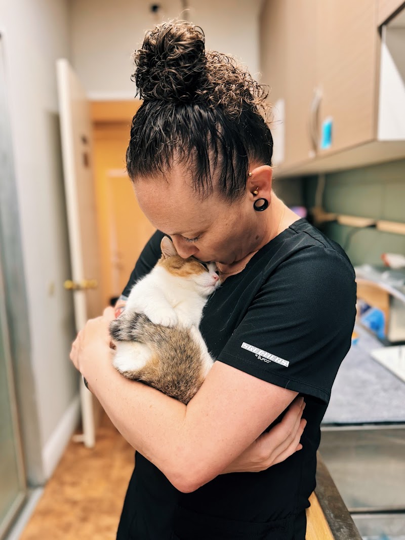 Photo of Hayward Veterinary Hospital