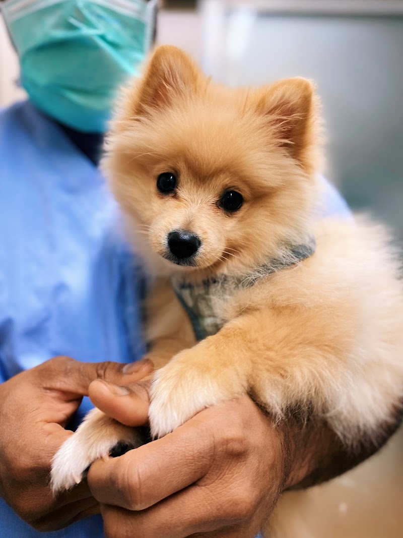 Hayward Veterinary Hospital photo 4