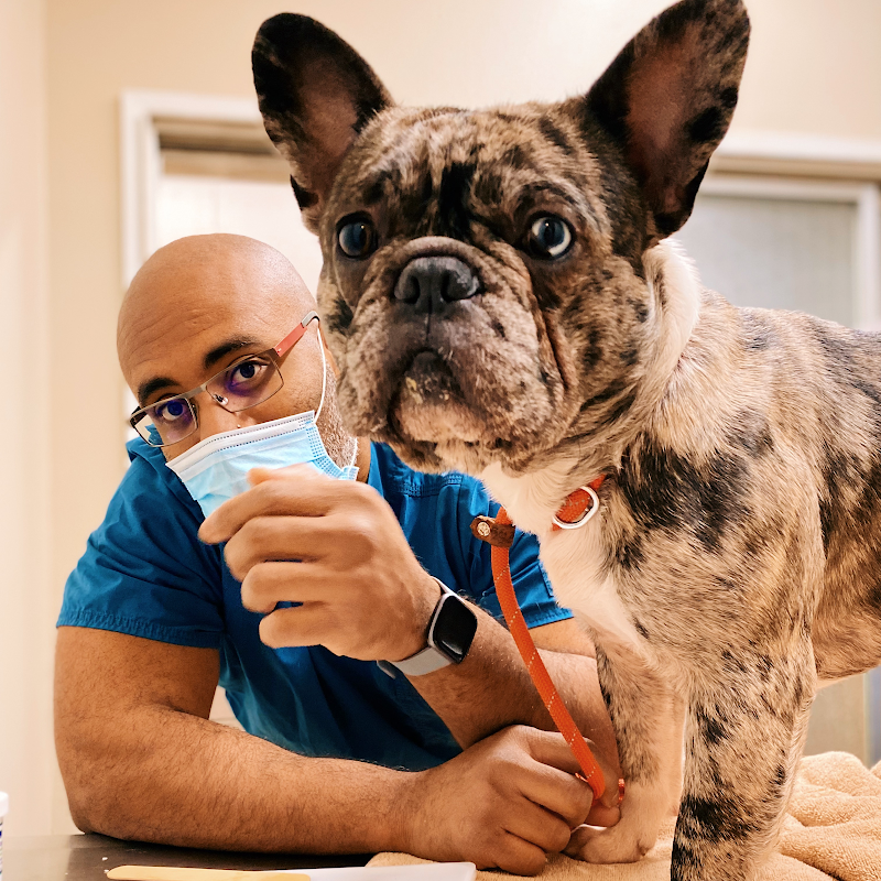 Hayward Veterinary Hospital photo 2