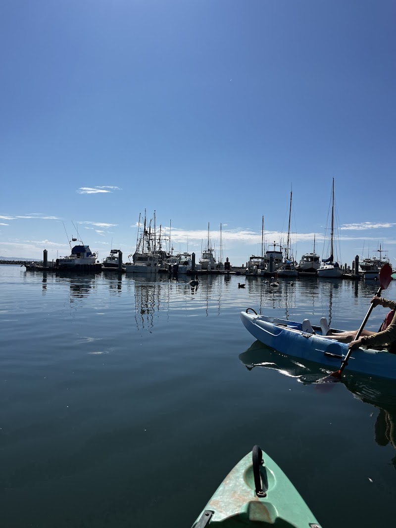 Photo of Half Moon Bay Kayak Co.