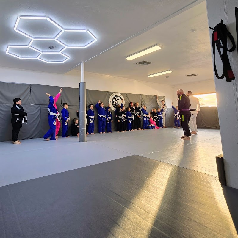 Ironwood Jiu-Jitsu photo 2