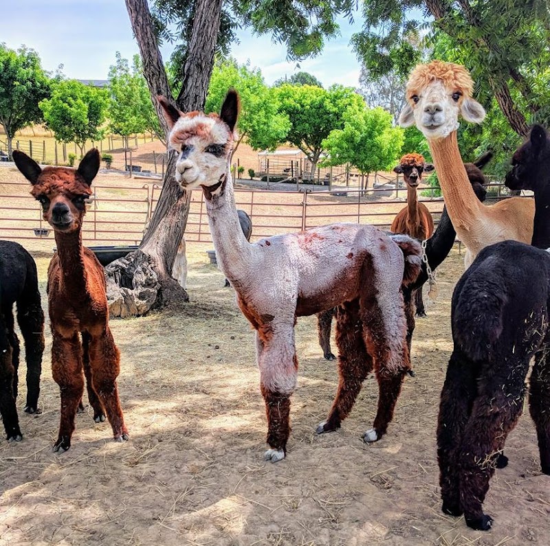 Photo of Menagerie Hill Ranch