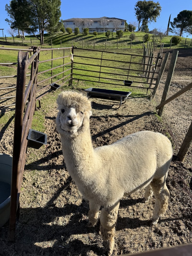 Menagerie Hill Ranch photo 2