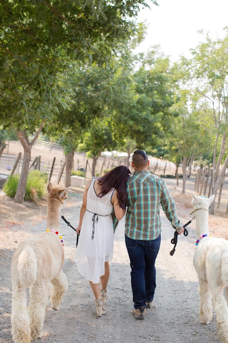 Menagerie Hill Ranch photo 5