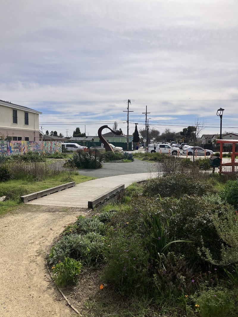 Urban Tilth's Edible Forest photo 3
