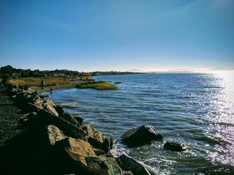 Railroad Park photo 2