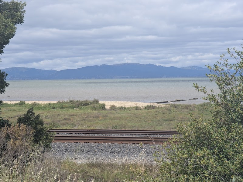 Railroad Park photo 3